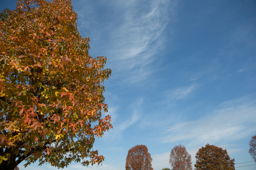 衣路サンプル-070